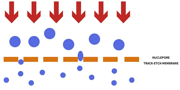 Principio de funcionamiento